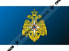 ФГБУ Информационно-аналитический центр МЧС России