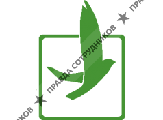 Чистый лист