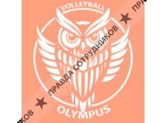 Волейбольная школа Олимпус