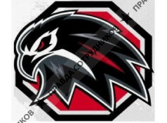 ЧОО Голден Иглз