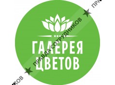 Галерея цветов