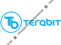Terabit Digital