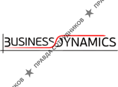 Business Dynamics