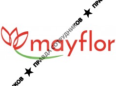 Мейфлор