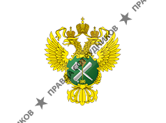 ФМЦ Росимущества