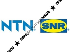 NTN-SNR