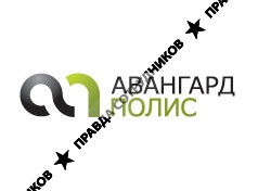 Авангард полис, Страховая компания