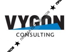 VYGON Consulting