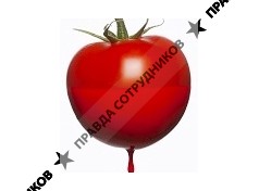 МИЧЕЛ
