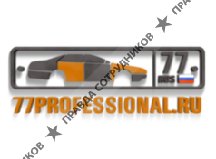 Профессионал-лидер кузовного ремонта