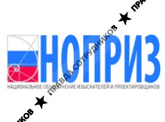 Нацпроект, Общероссийская негосударственная некоммерческая организация