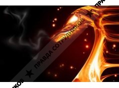 Золотой Дракон