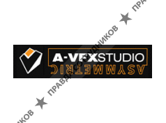 Асимметрик VFX (Asymmetric VFX Studio)