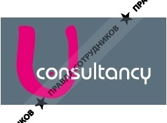 Uconsultancy