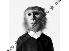 Страна детей