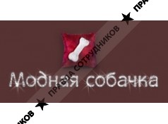 Модная собачка, интернет-магазин