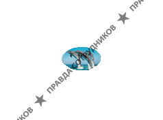 Дельфин-ТРАНС, ТЭК