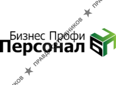 Бизнес Профи Персонал