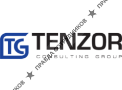 Tenzor Consulting Group
