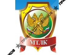 Международный Транспортно-Логистический Концерн