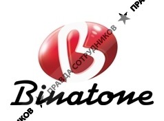 Binatone