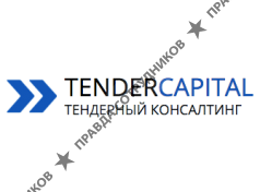 Тендер Капитал