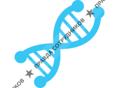 ИТ Маркет Групп