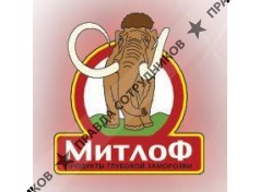 Митлоф