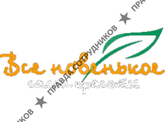 Все новенькое, Салон красоты