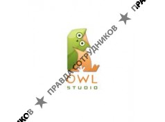 Owl Studio