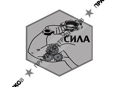 Сила
