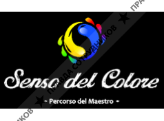 Сенсо дель Колоре Групп