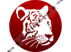 White Tiger Design Studio