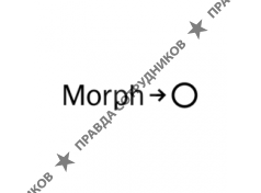 Morph Communication Strategies
