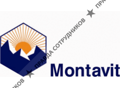 Монтавит Гез.м.б.Х.