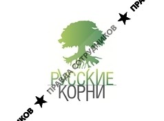 Лето, Торговый Дом