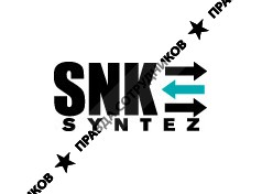 SNK - Syntez, Компания