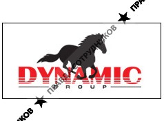 Dynamic Group