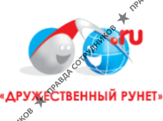 Дружественный Рунет, Фонд Содействие развитию сети Интернет
