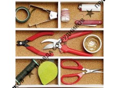 Цветы Африки