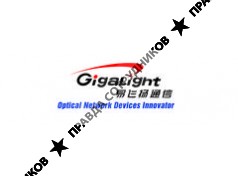 Шэньчжэнь Гигалайт Технолоджи