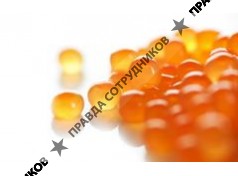 Первая Торговая Компания