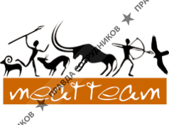 МитТим
