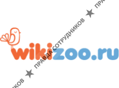 АйТек Групп