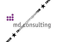md.consulting