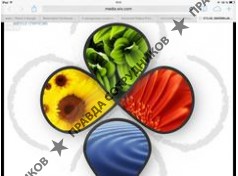 Минерал Эко