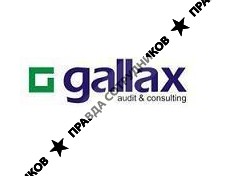 Галлакс, Аудиторская компания