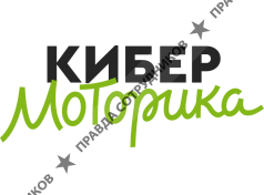 Моторика