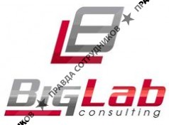 Big Lab Consulting