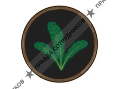 Суперфуд Фарм